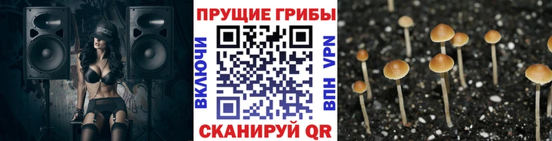 Галлюциногенные грибы мицелий  как найти наркотики  darknet формула  Кемерово 